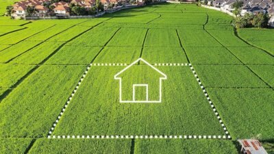Land Investment