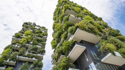 The Green Building Movement Gains Ground