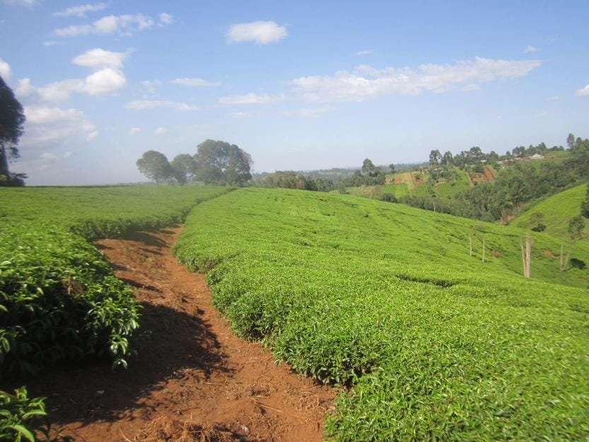 Land Investment Kenya