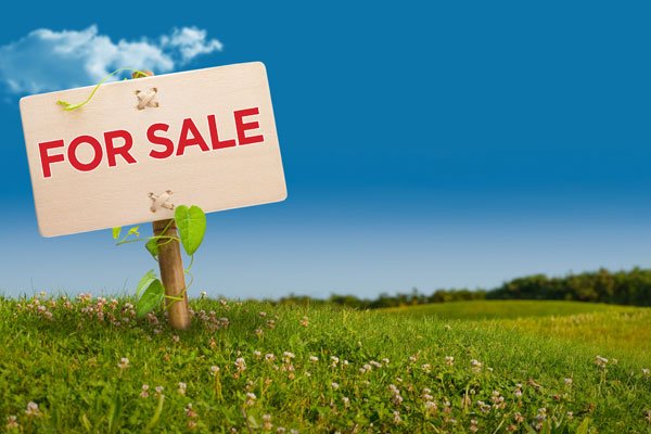 The Ultimate Guide to Legally and Securely Buying Land in Kenya 1 buying land in Kenya