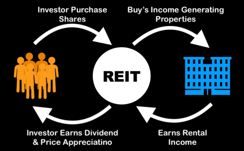 I-REITS AND D-REITS