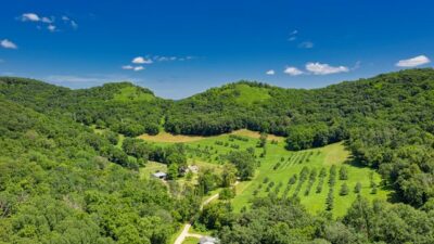 Kenyan Land Ownership Guide ArdhiSasa & Title Changes