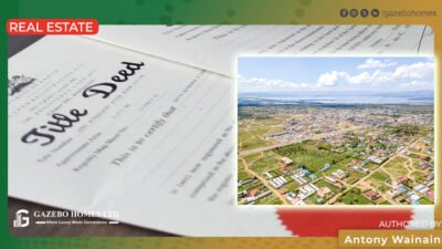 How to Secure Land Ownership & Avoid Scams in Kenya (2026) 12 land ownership in kenya