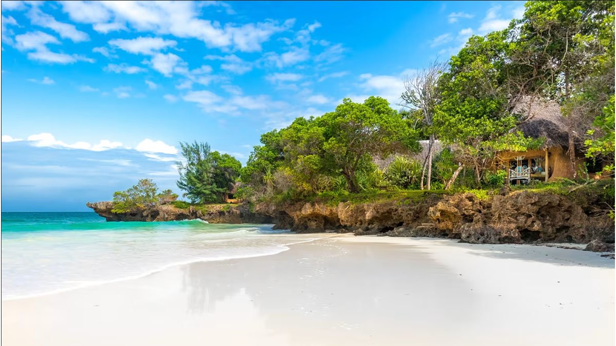Kenya Beaches Guide (2026): Best Coastal Destinations, Travel Tips & Hidden Gems 1 Kenya Beaches Guide (2026): Best Coastal Destinations, Travel Tips & Hidden Gems