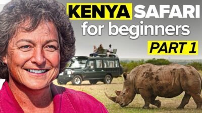 Kenya Safari Guide 2026 The Ultimate First-Timer