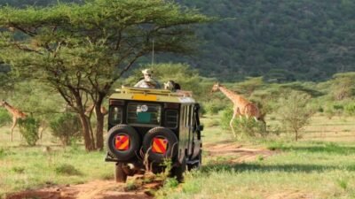 Kenya Travel Guide 2026 Destinations, Experiences tips